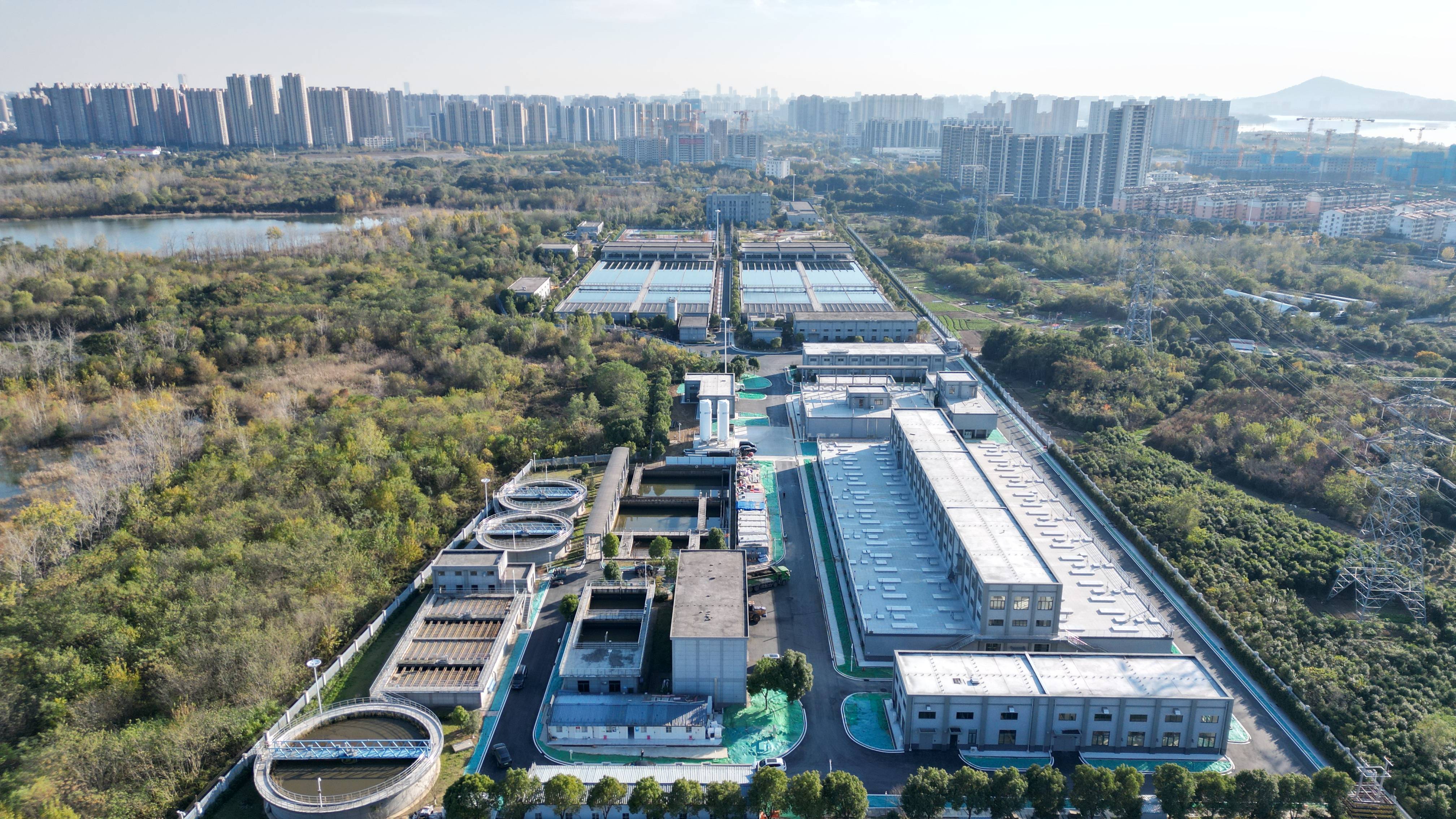 枣庄市合肥专业企业价值增长(合肥市重点企业产业目录)