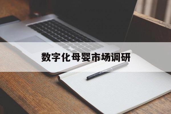枣庄市数字化母婴市场调研(数字化母婴市场调研报告)